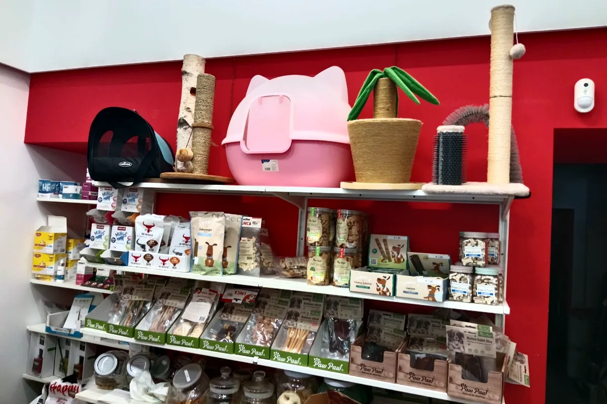 Selezione di accessori per gatti